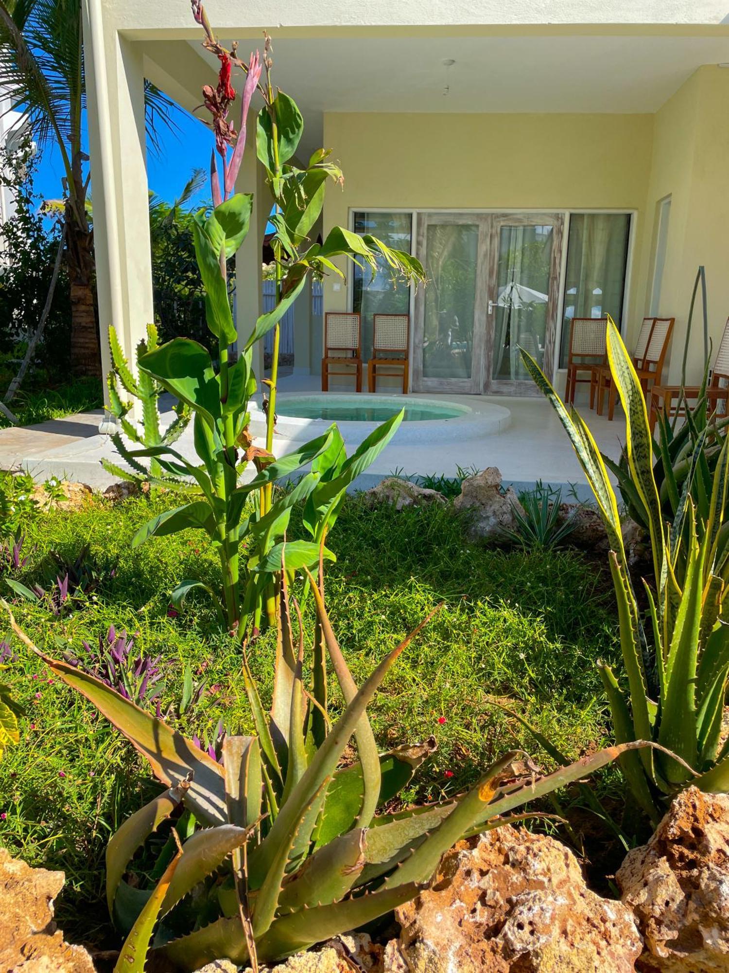 White Villa - Paparemo Beach واتامو المظهر الخارجي الصورة
